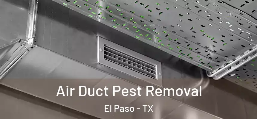 Air Duct Pest Removal El Paso - TX