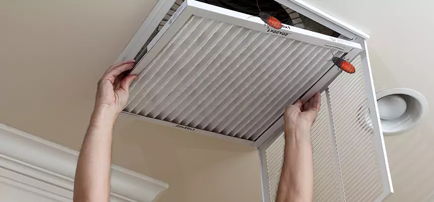 Preventive Cockroach-Proofing for Ducts in El Paso