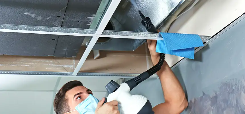 Our Air Duct Rodent Removal Services in El Paso, TX