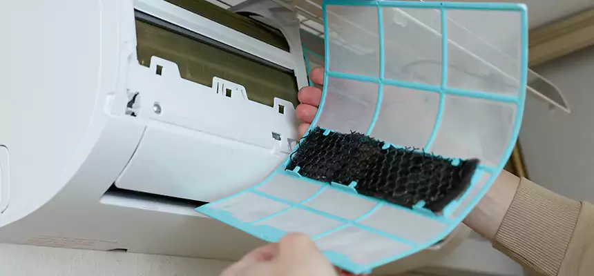 Gentle Ductwork Odor-Control Pet Dander Duct Cleaning in El Paso, TX