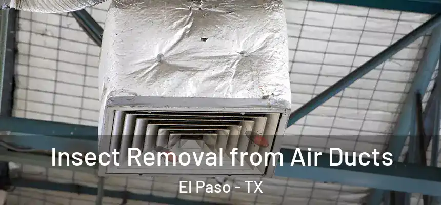 Insect Removal from Air Ducts El Paso - TX