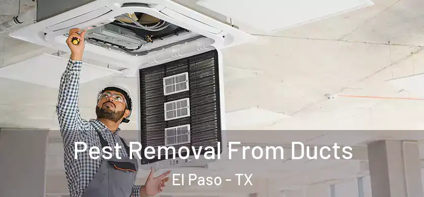 Pest Removal From Ducts El Paso - TX