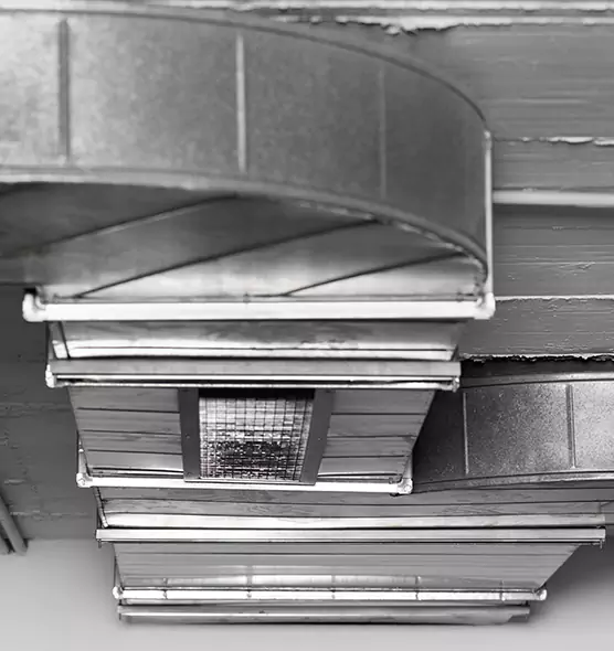 Professional Air Duct Pest Removal in El Paso, TX