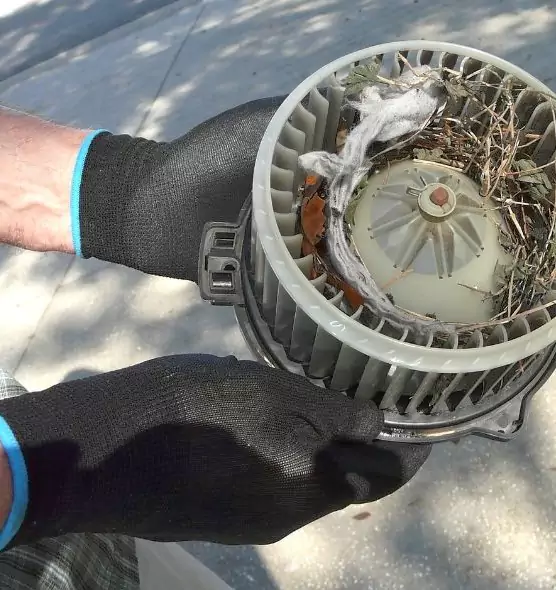 About Air Duct Rat Removal in El Paso, TX