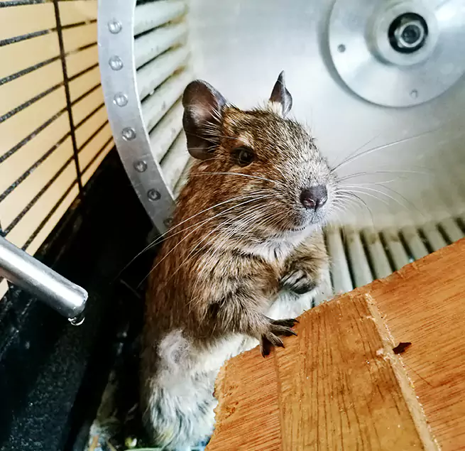 Why Homeowners & Businesses Trust Us El Paso, TX