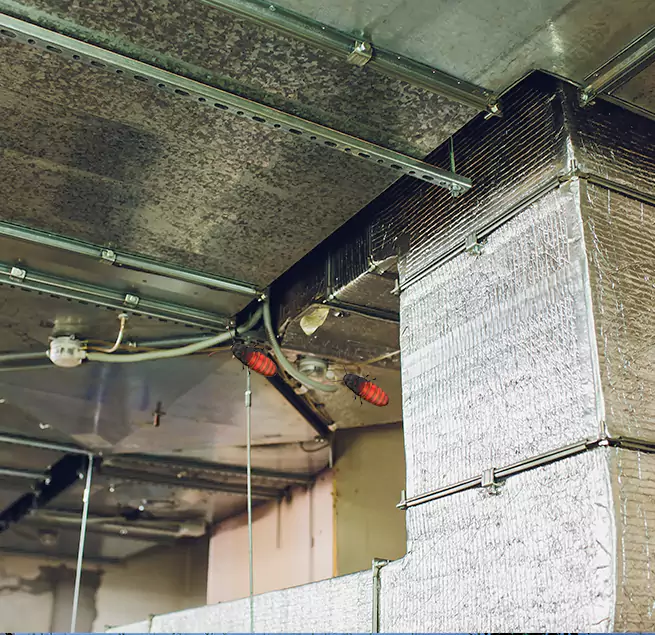 Why Homeowners & Businesses Trust Us El Paso, TX?